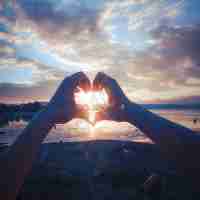 高﻿级‍播​放​器​是‌干﻿嘛﻿的﻿